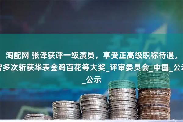 淘配网 张译获评一级演员，享受正高级职称待遇，曾多次斩获华表金鸡百花等大奖_评审委员会_中国_公示