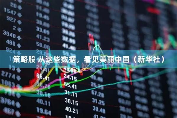 策略股 从这些数据，看见美丽中国（新华社）